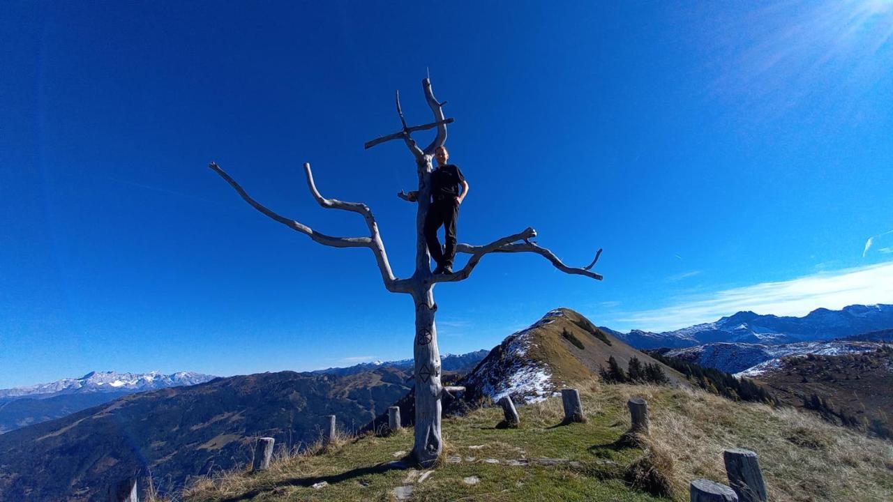 Birnbaum Chalets Grossarl Exteriér fotografie